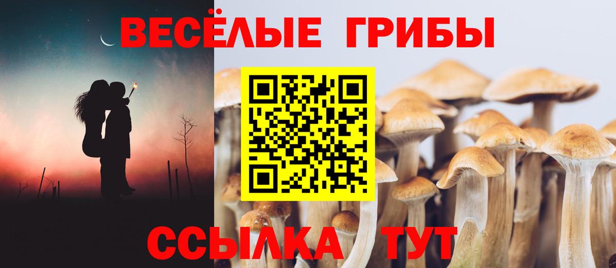 Галлюциногенные грибы Psilocybe  Псилоцибиновые грибы Psilocybe  Тобольск  Вход с VPN 